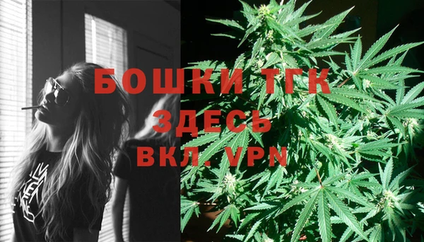 2c-b Мегион