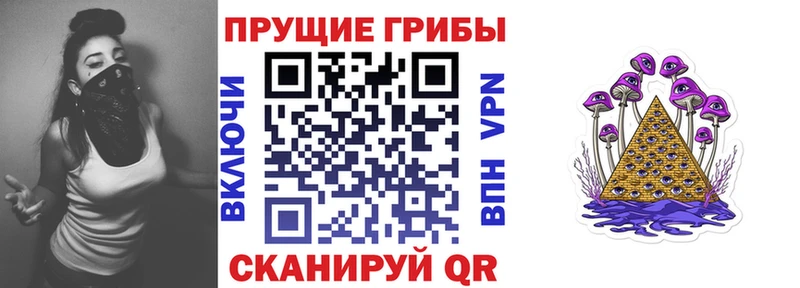 omg как зайти  Костерёво  Псилоцибиновые грибы Cubensis  что такое наркотик 